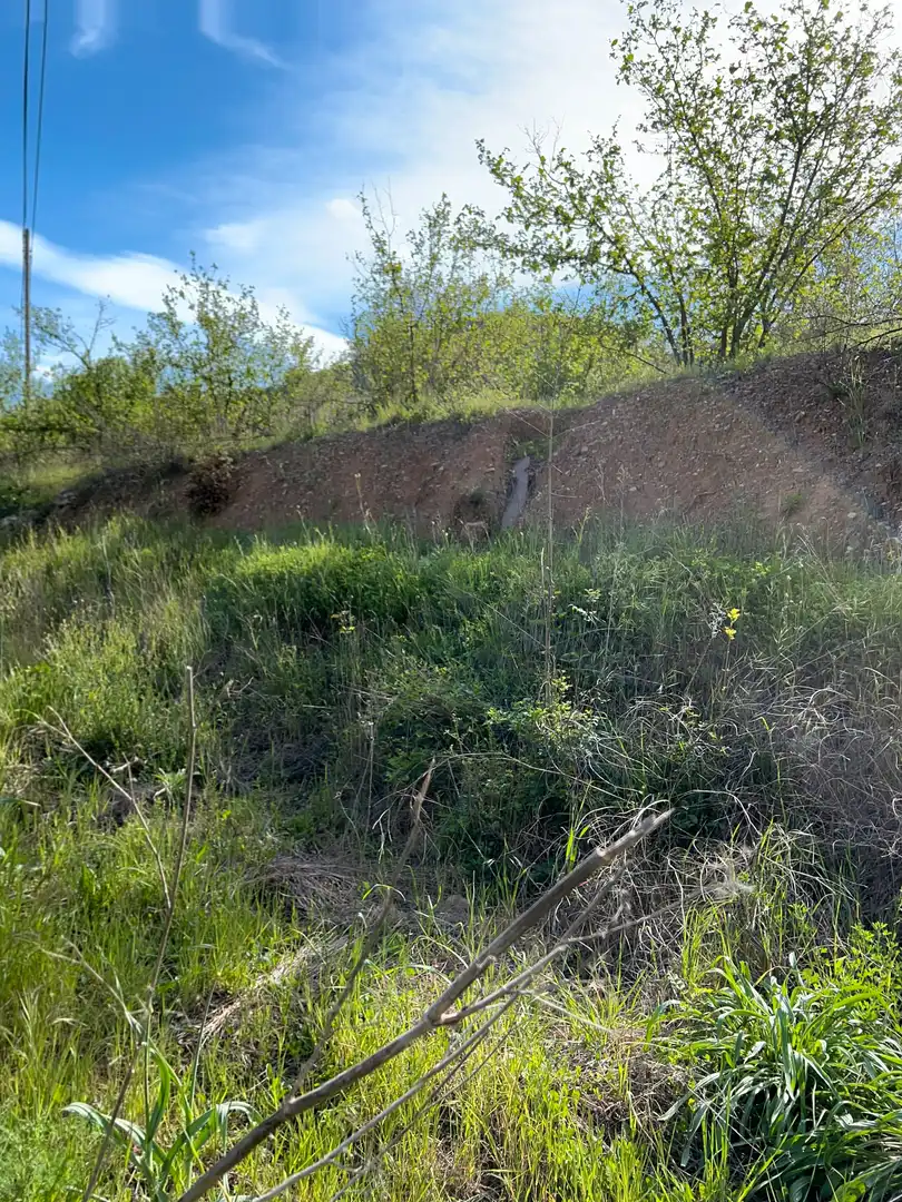 Rural land for sale in Cornudella de Montsant, imagen 9