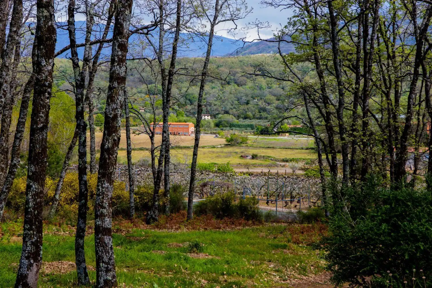 Finca rústica en venda en Jarandilla de la Vera amb Aire condicionat, Calefacció i Jardí privat