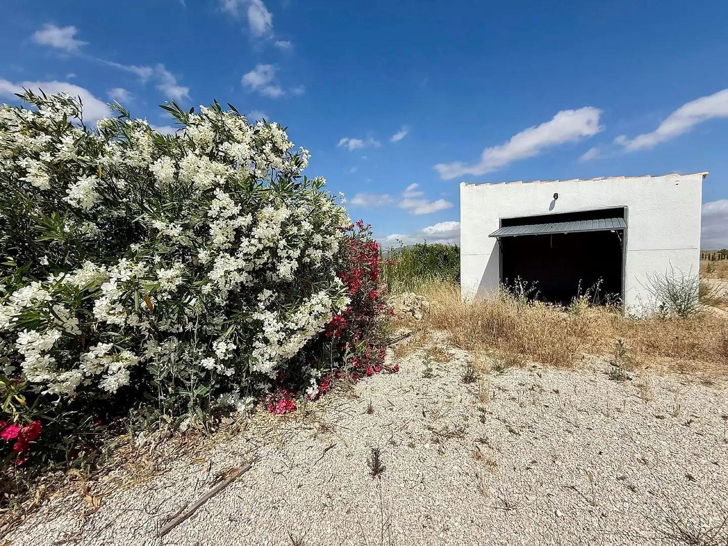 Maison à vendre à Jumilla, imagen 13