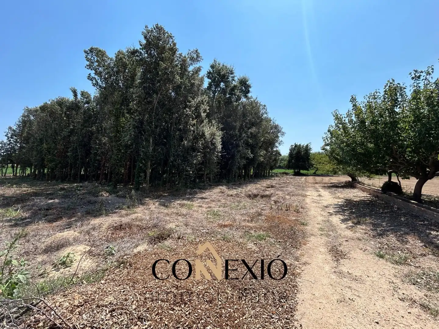 Finca rústica en venda en Palafrugell amb Aire condicionat, Calefacció i Jardí privat