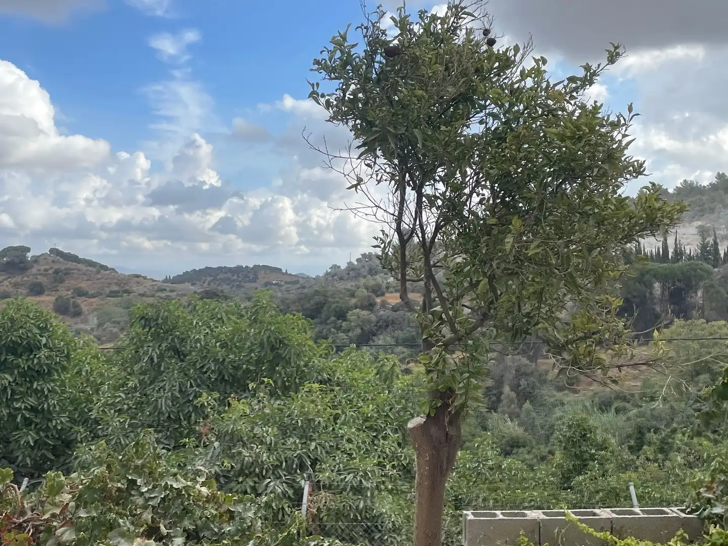 Terreni e lotti in vendita a Coín, imagen 5