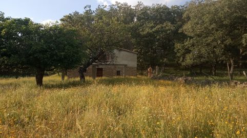 VENDE INMOEX FINCA EN JARANDILLA DE LA VERA , imagen 2