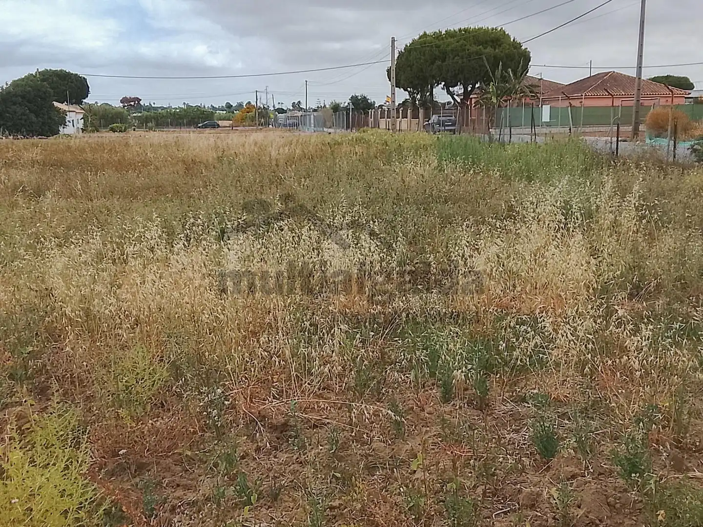 Terreni e lotti in vendita a Chipiona Norte, imagen 6