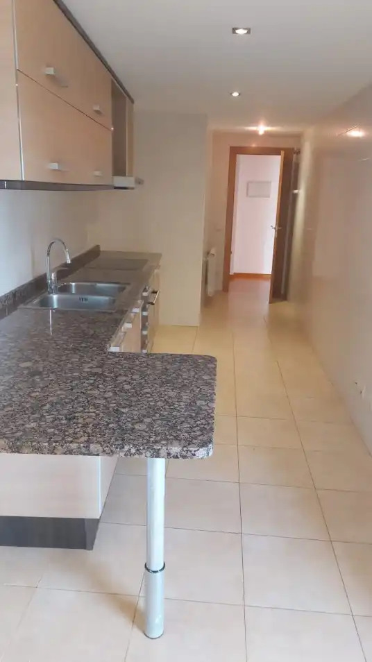 Piso de alquiler en Avinguda del Mestre Montaner, El Poble Sec