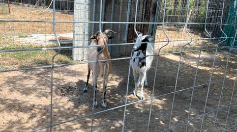 Foto 3 de Terreno en venta en Monzalbarba,  Zaragoza Capital