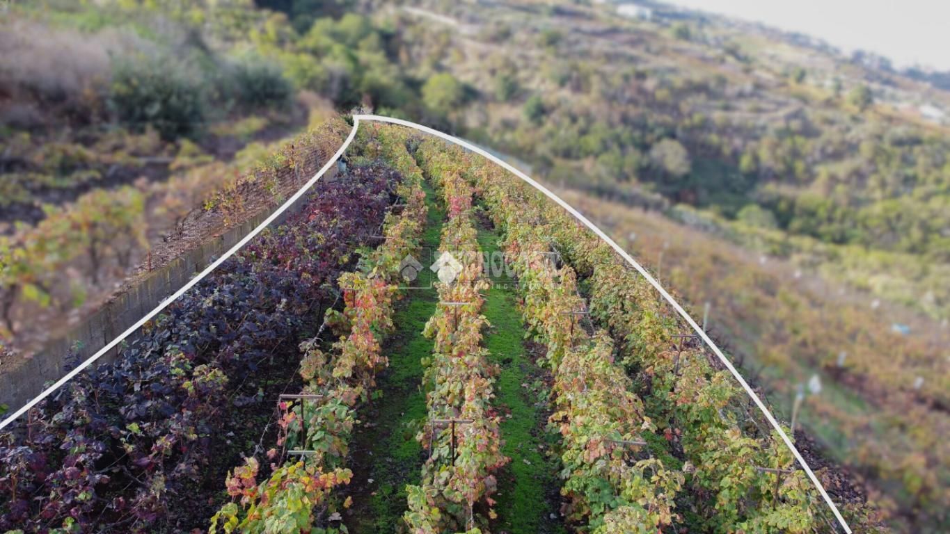 Land for sale in Santa Úrsula