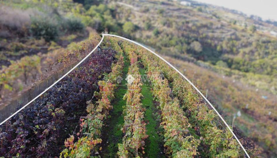 Photo 1 of Land for sale in La Vera - El Farrobillo - Tosca de Ana María, Santa Cruz de Tenerife
