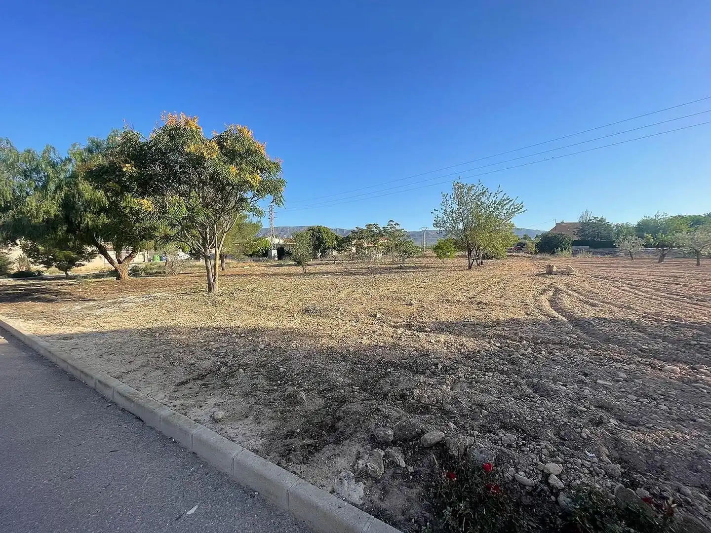 Terreno residencial en venta en El Pinós / Pinoso, imagen 10