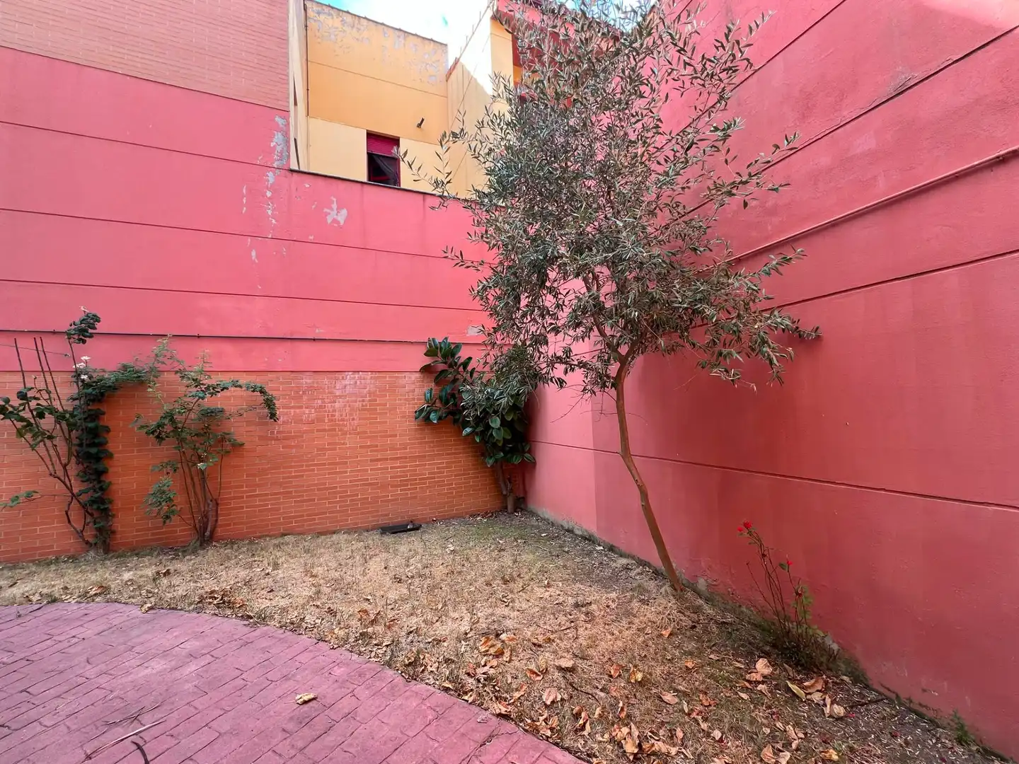 Jardí de Casa adosada en venda en Cáceres