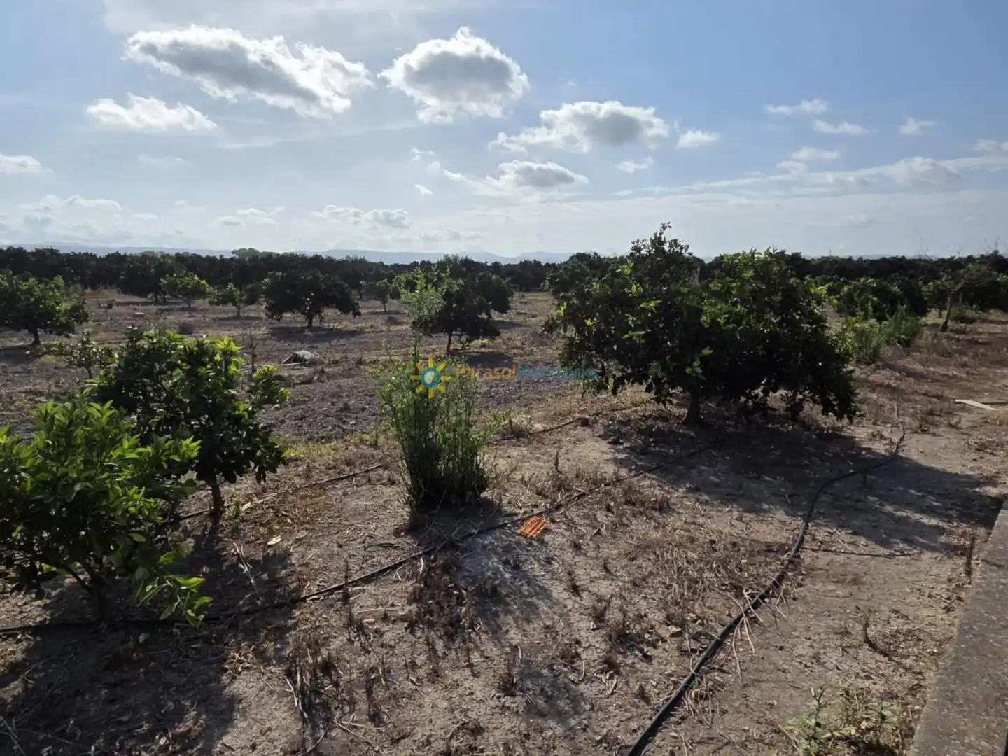 Finca rústica en venta en Senyera con Jardín privado y Terraza
