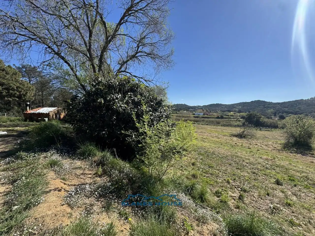 Terreno rustico in vendita a Calle Bosch Rabasa 1, imagen 10