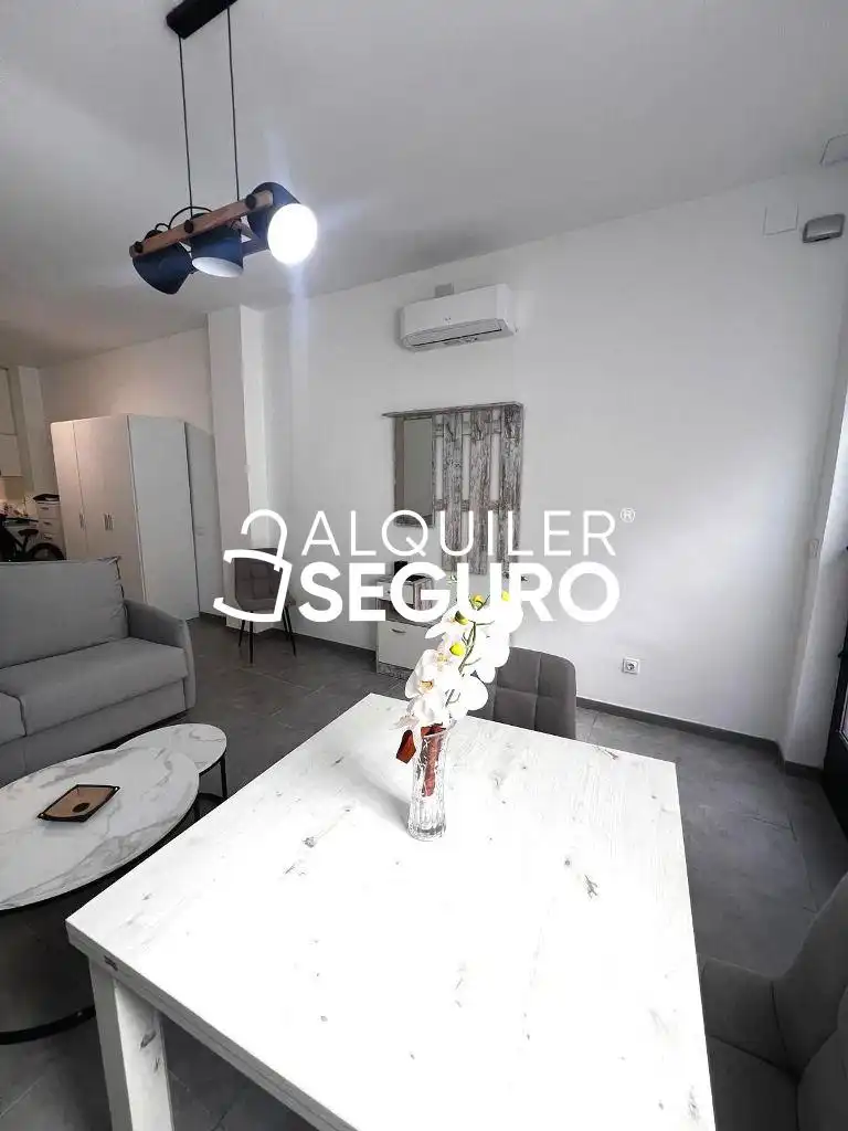 Estudio de alquiler en de los Mesejo, Adelfas