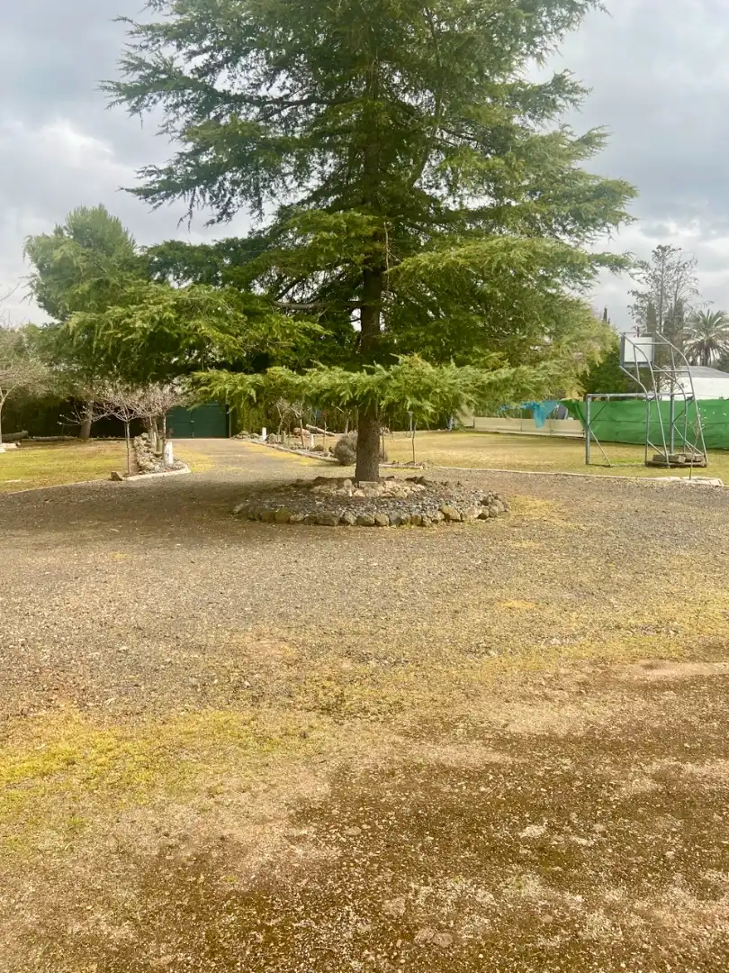 Aparcament de Casa o xalet en venda en Ciudad Real amb Calefacció, Jardí privat i Traster