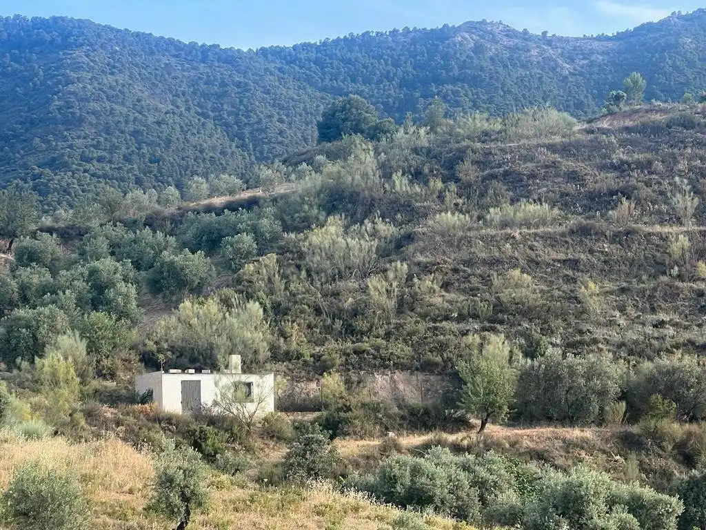 Casa rustica in vendita a Los castillos, el valle