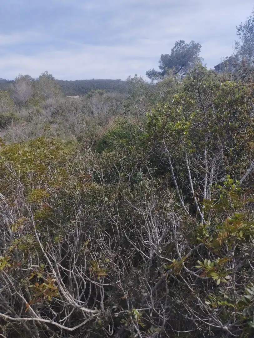 Residential land for sale in La Bisbal del Penedès, imagen 9