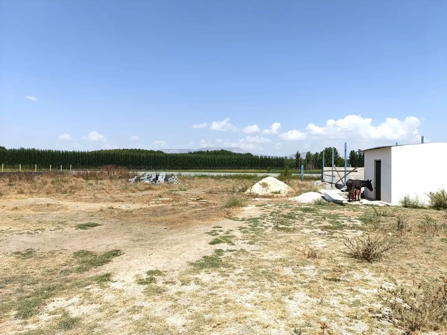 Terrains et parcelles à vendre à Fuente Vaqueros, imagen 4