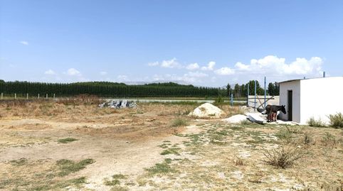 VENTA DE PARCELA RUSTICA EN FUENTE VAQUEROS, Bild 4