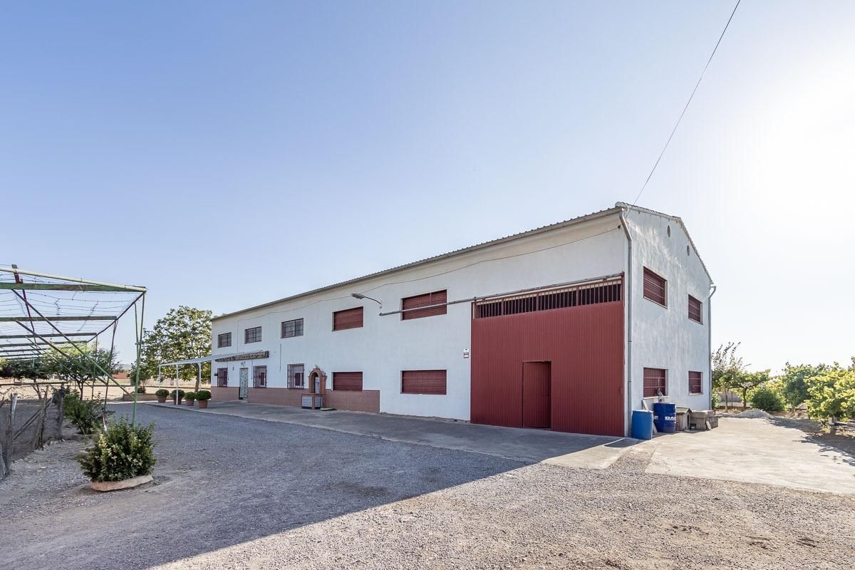 Vista exterior de Casa o chalet en venta en Santa Fe con Calefacción, Jardín privado y Terraza