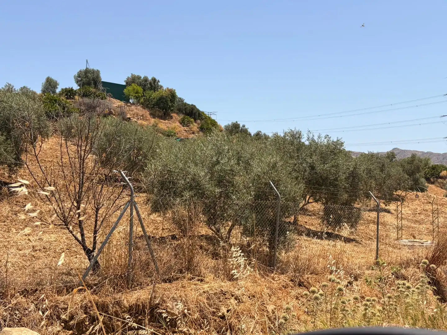 Terreno en venta en N/A, Álora