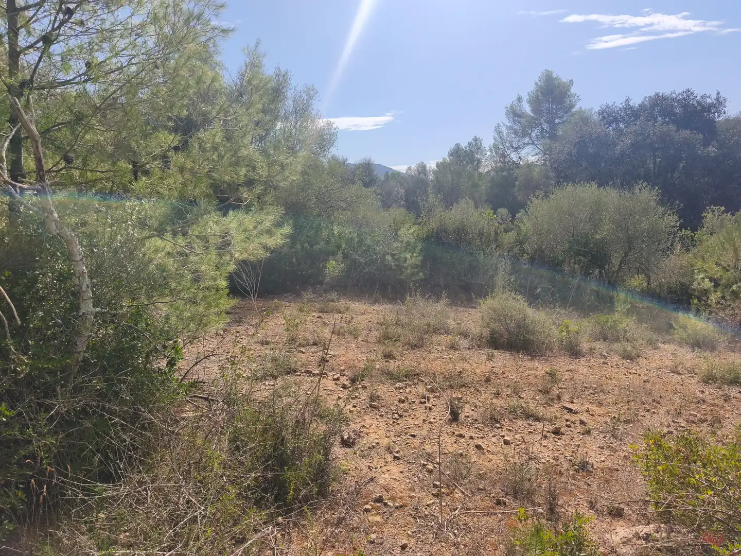 Rustikales Grundstück zum Verkauf in Algaida, imagen 3