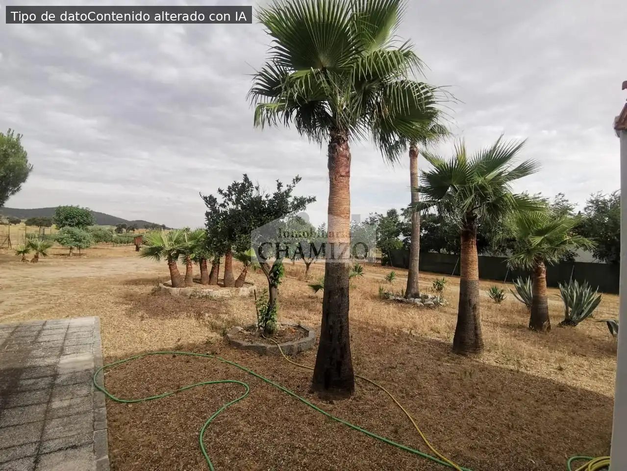Casa o chalet en venta en Campanario con Jardín privado, Trastero y Piscina