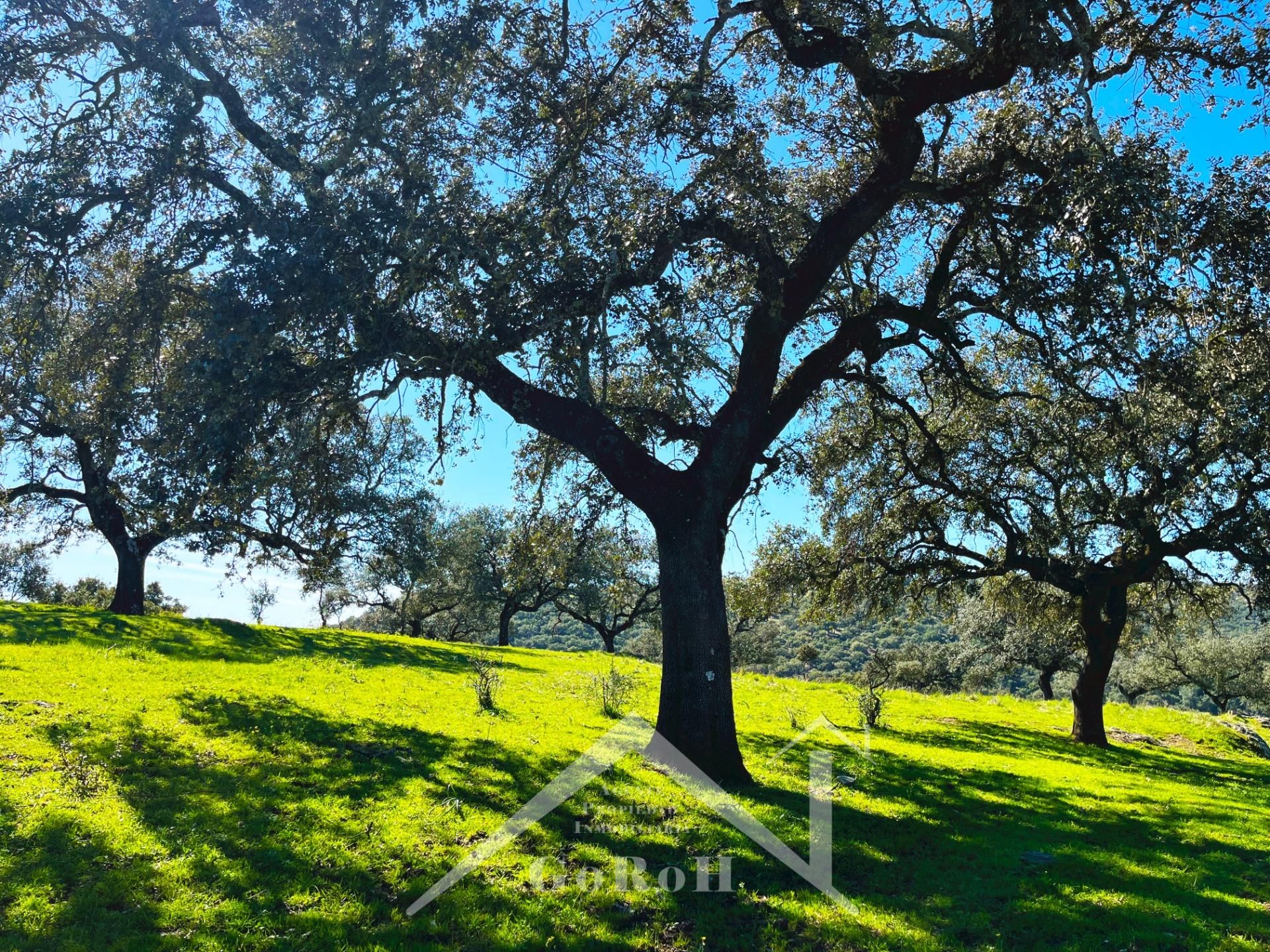 Außenansicht von Grundstücke zum Verkauf in Almadén de la Plata