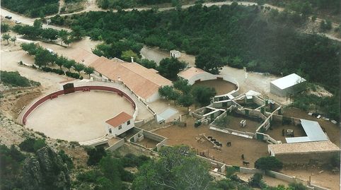 Foto 5 von Geschaftsraum zur Miete in Alfara de Carles, Tarragona