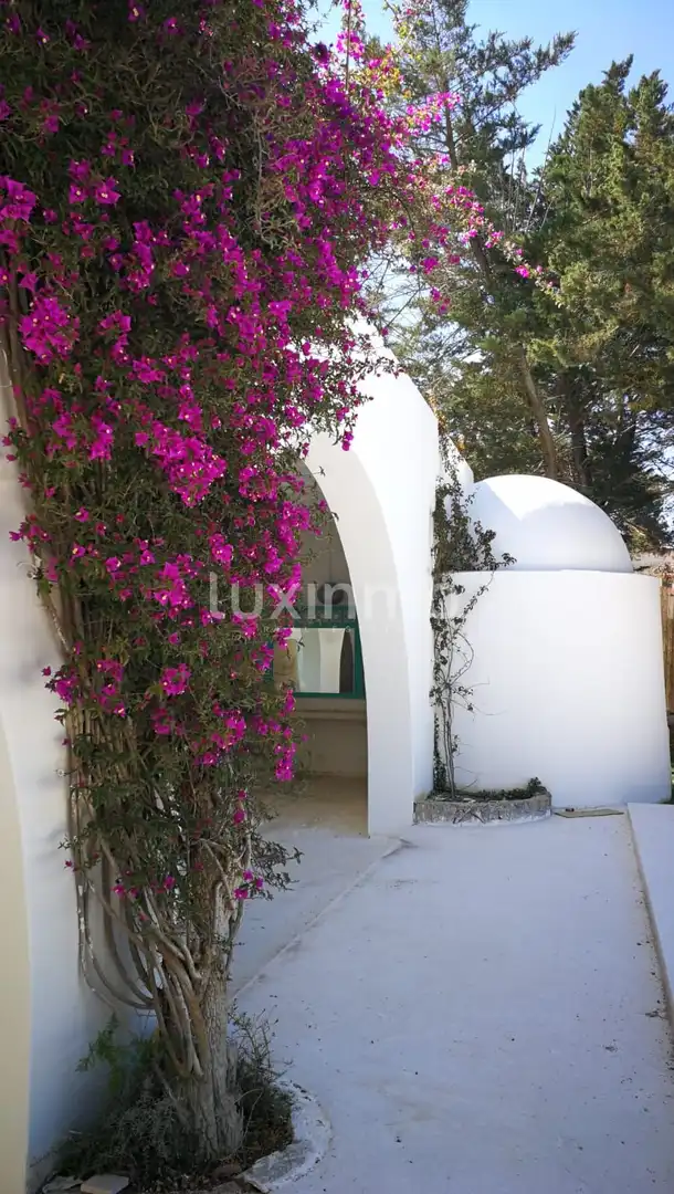 Vista exterior de Casa o chalet en venta en Sant Antoni de Portmany con Jardín privado, Terraza y Piscina comunitaria