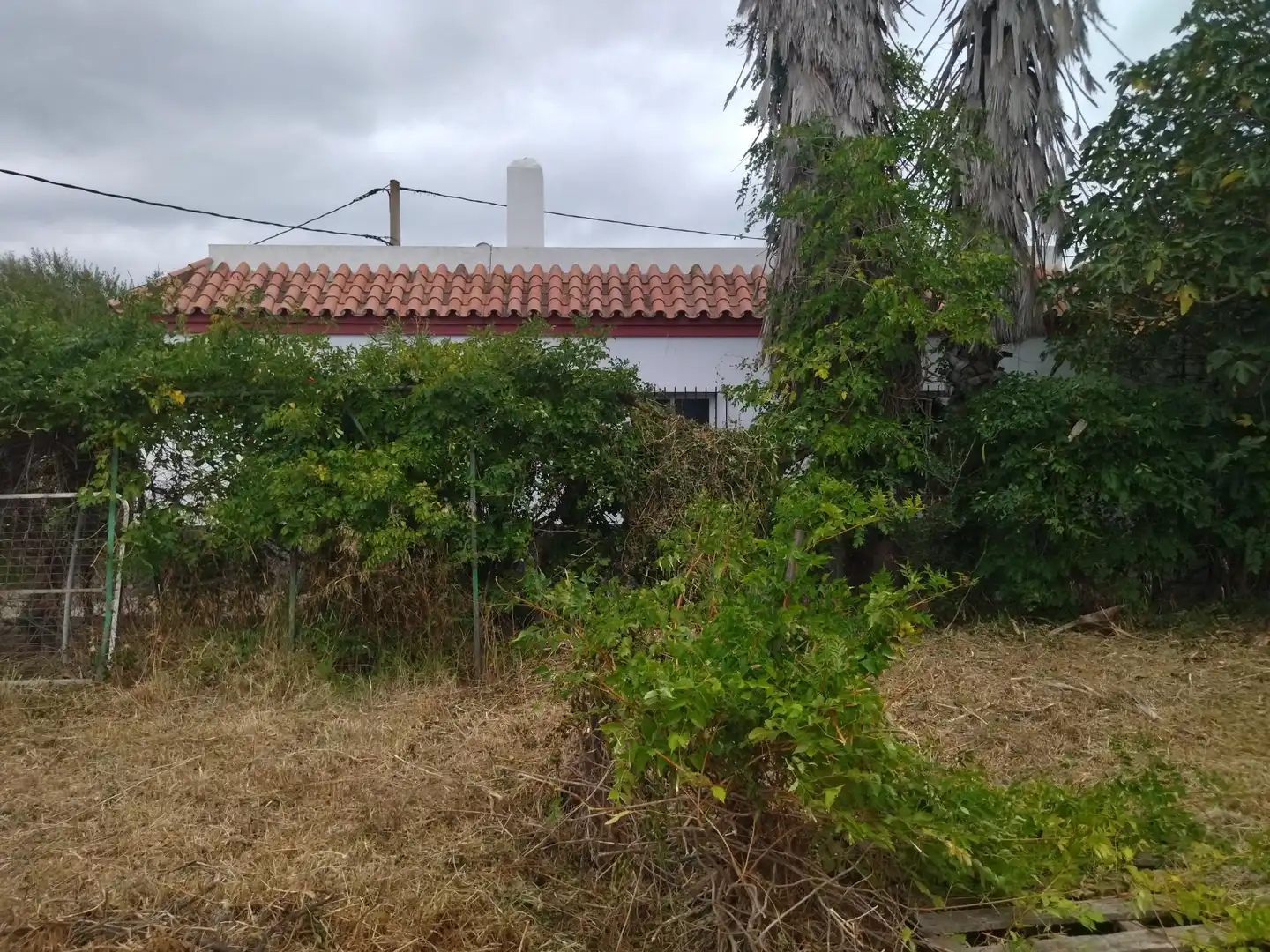 Casa amb jardí en venda a Las Lagunetas, imagen 13