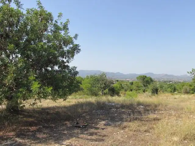 Terreno residenziale in vendita a La Conarda - Montesano, imagen 2