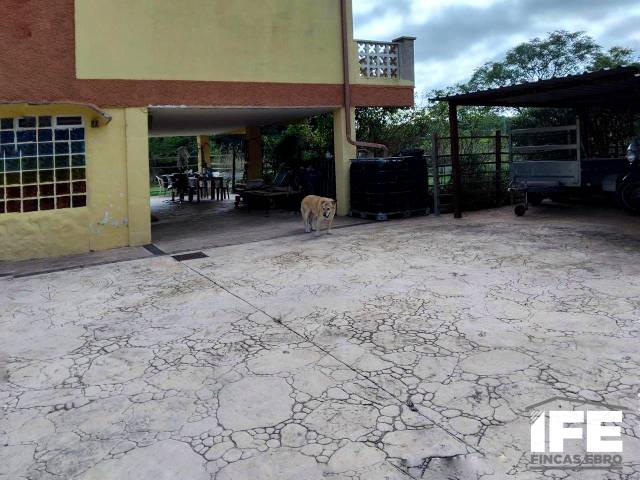 Casa-chalet en Venta en Grisén