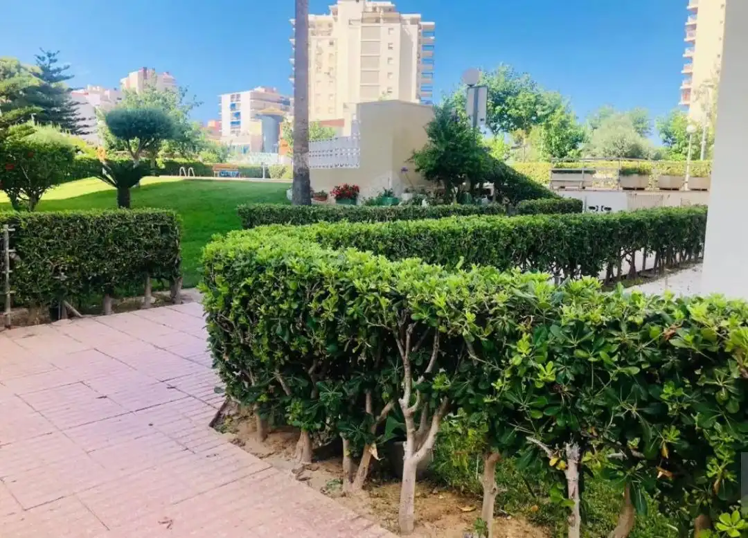 Apartament de lloguer a Carrer de Menorca, 3, Playa de Gandia