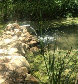 Photo 2 of Residential for sale in Cortes y Graena, Granada