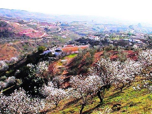 Terreno en Venta en Diseminado Poligono 7, 89 en Sexmo