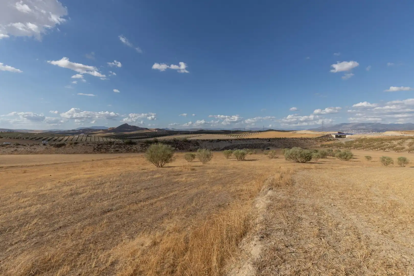 Lands and plots for sale in Polígono Polígono 6 Parcela 17 CAÑADA ESPARRAGAL. VILLA D 6, imagen 6