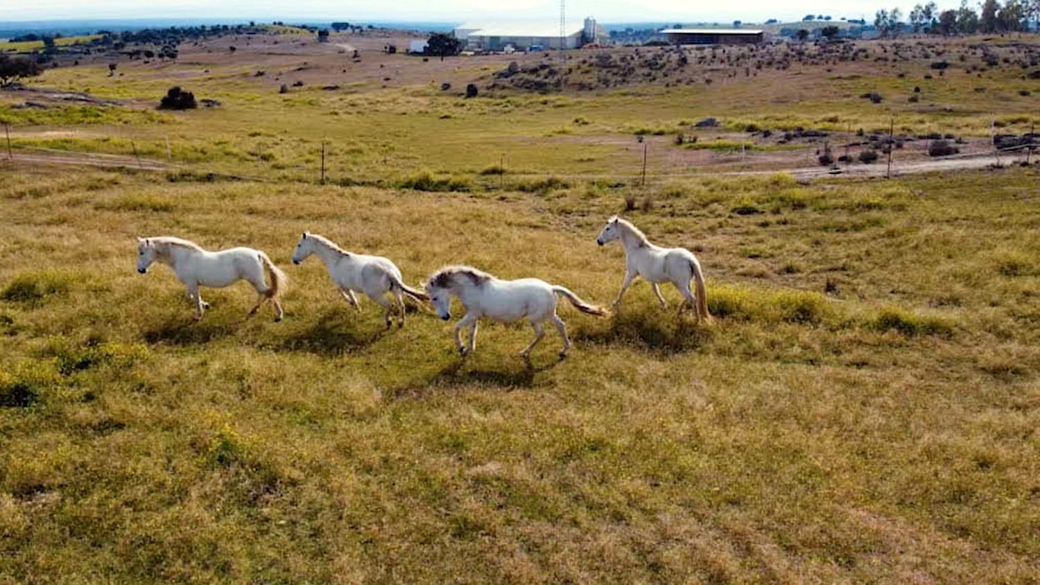 Finca rústica de lloguer amb opció a compra a N-403, Buenavista - Valparaíso - La Legua
