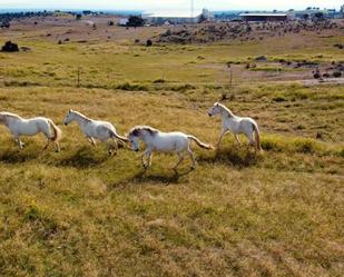 Finca rústica de lloguer amb opció a compra a N-403, Buenavista - Valparaíso - La Legua,  Toledo Capital