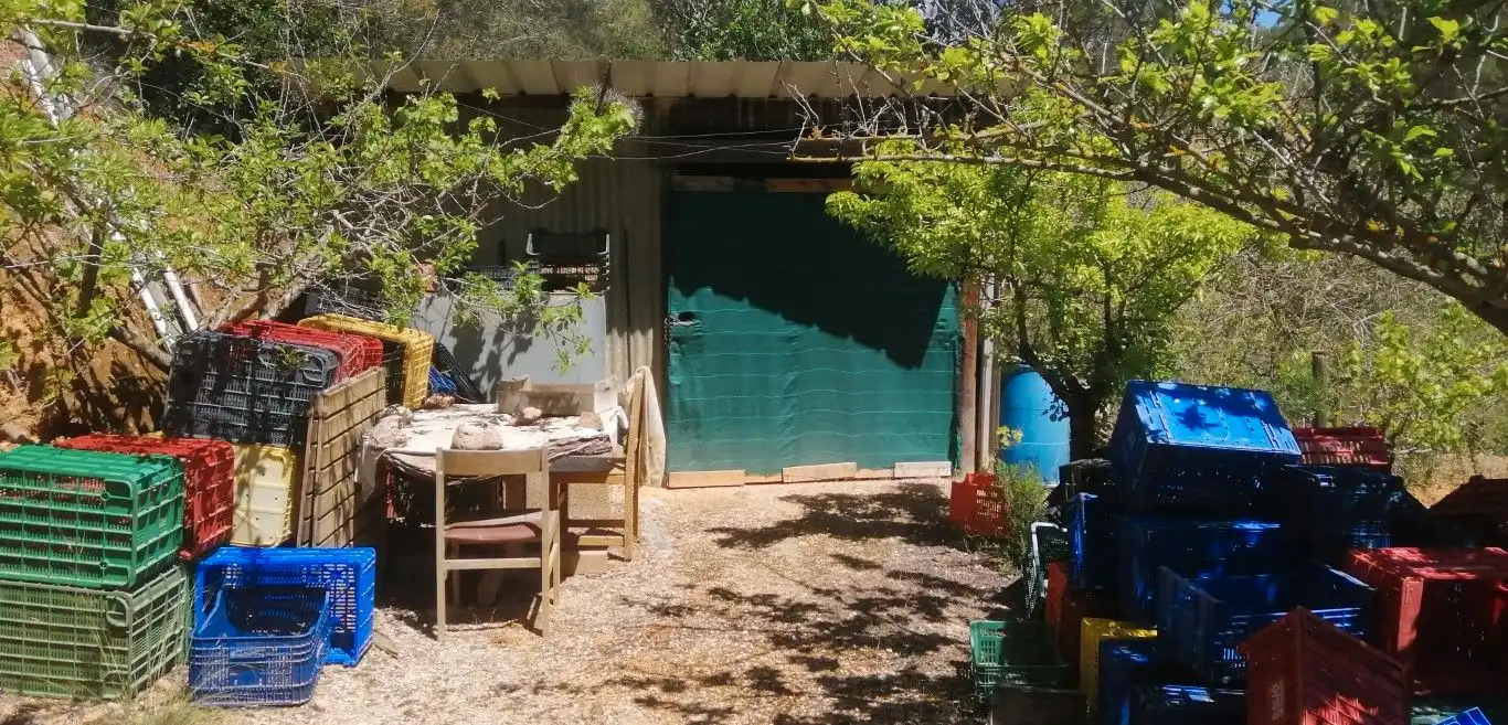 Terreny rústic en venda a Olesa de Bonesvalls, imagen 2