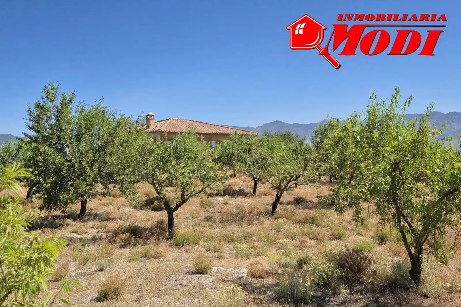 Casa rústica amb jardí en venda a Villamena, imagen 11