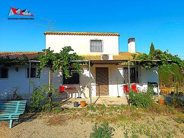 Villa con piscina in vendita a Fátima