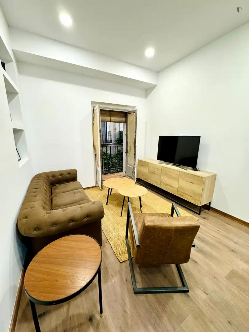 Wohnungen zur Miete in Universidad - Malasaña