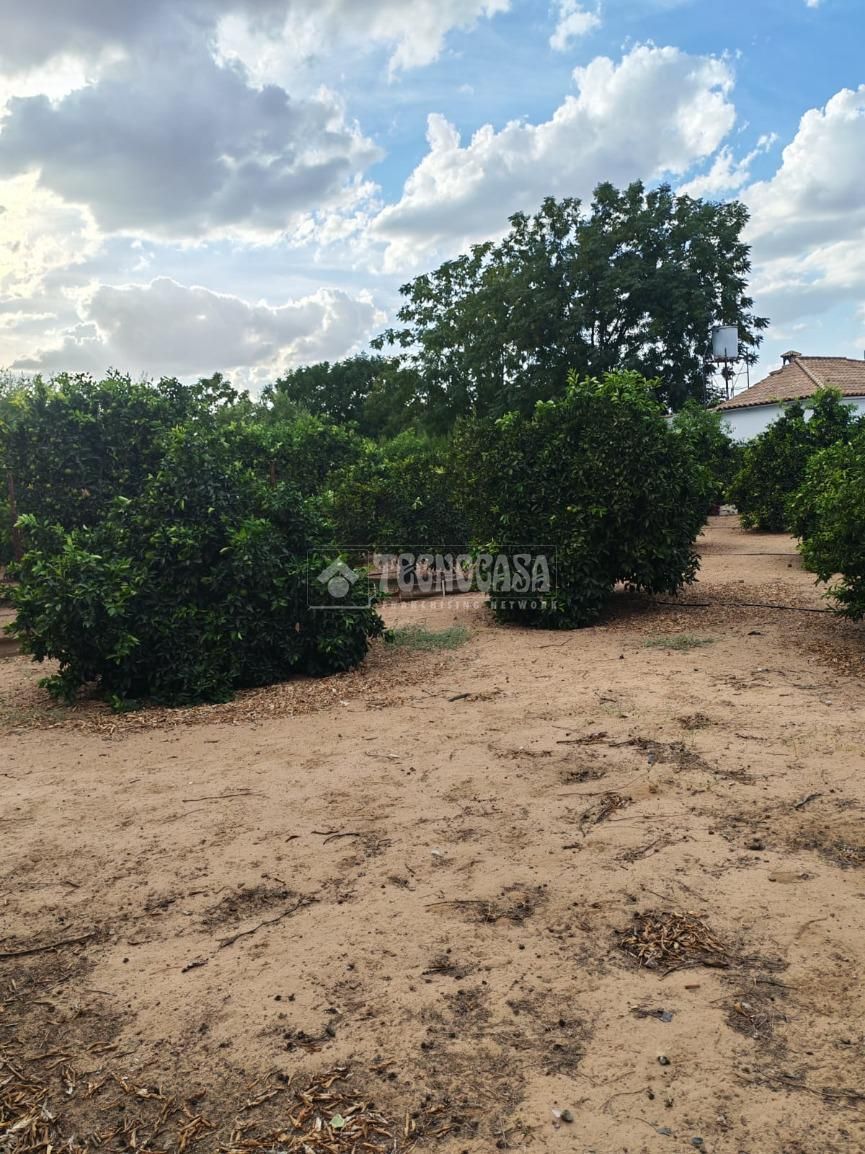 Finca rústica en venda en El Coronil amb Aire condicionat, Calefacció i Piscina