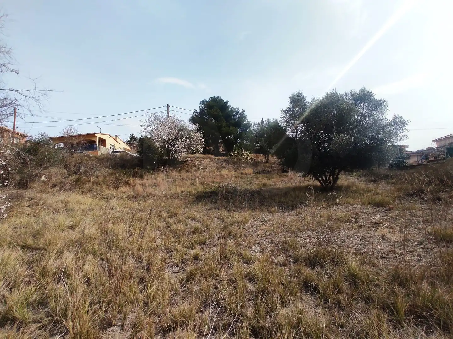 Terrenys i solars en venda a La Bisbal del Penedès, imagen 25
