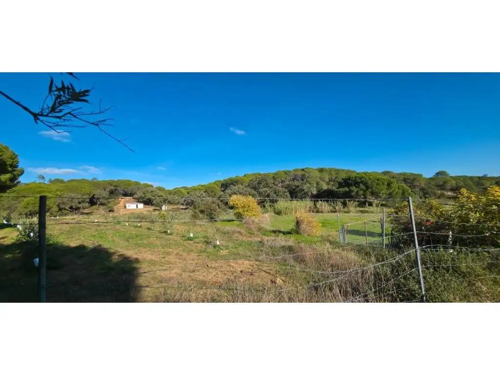 Terreni e lotti in vendita a Villablanca, imagen 7