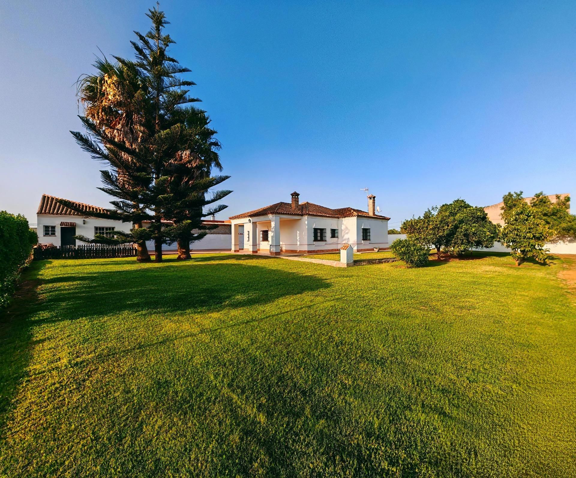 Garden of House or chalet for sale in Chiclana de la Frontera  with Terrace