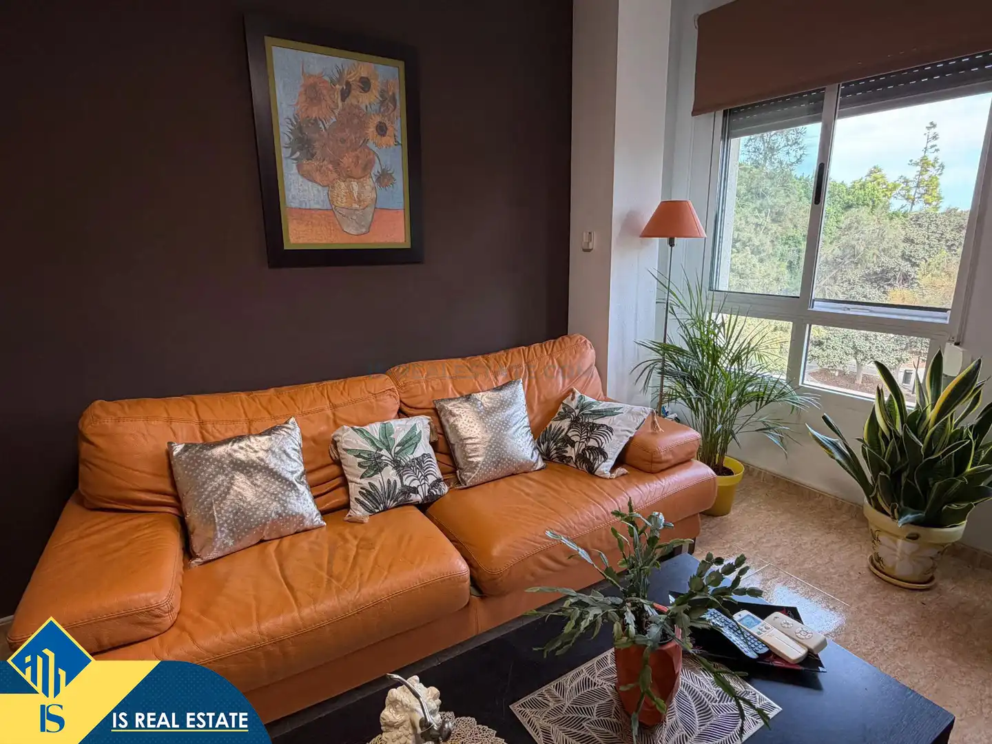 Apartamento con ascensor en venta en Pilar de la Horadada ciudad, imagen 12