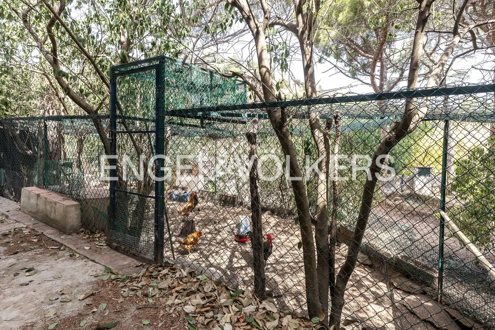 Casa o chalet en venta en Badalona con Calefacción y Jardín privado