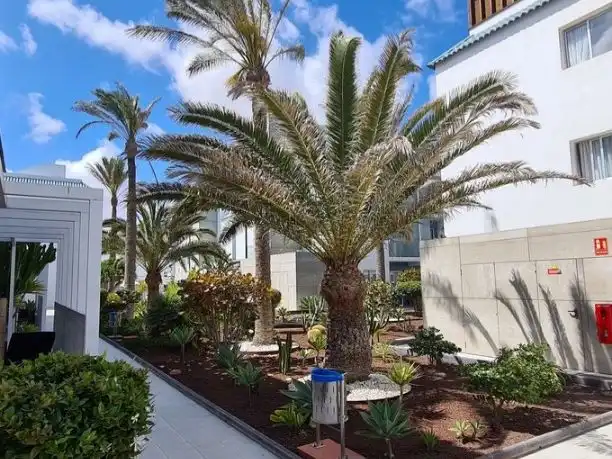 Apartamento con piscina en venta en Av Juan Carlos I 3, imagen 18