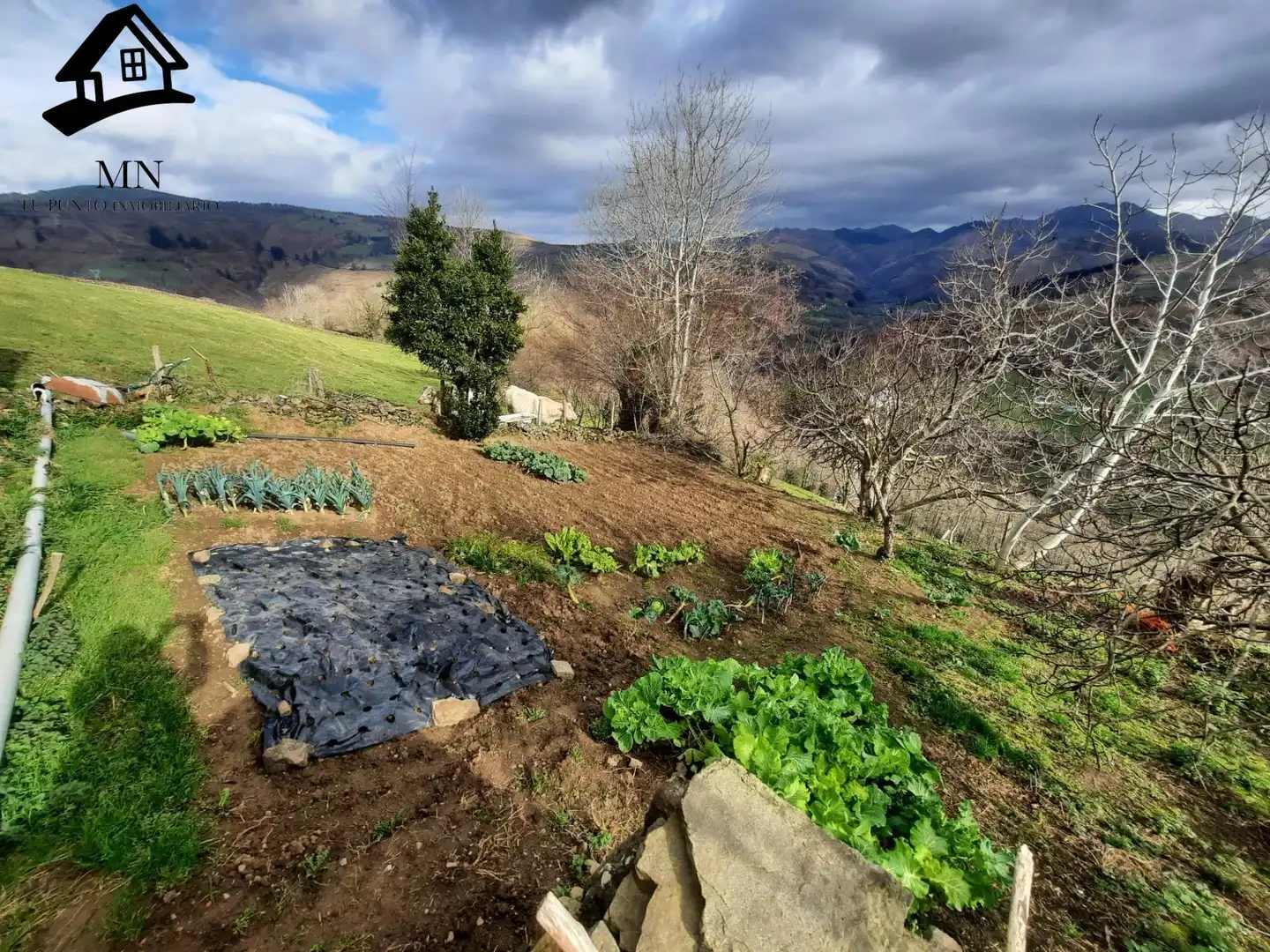 Casa rustica con giardino in vendita a San Pedro del Romeral, imagen 5