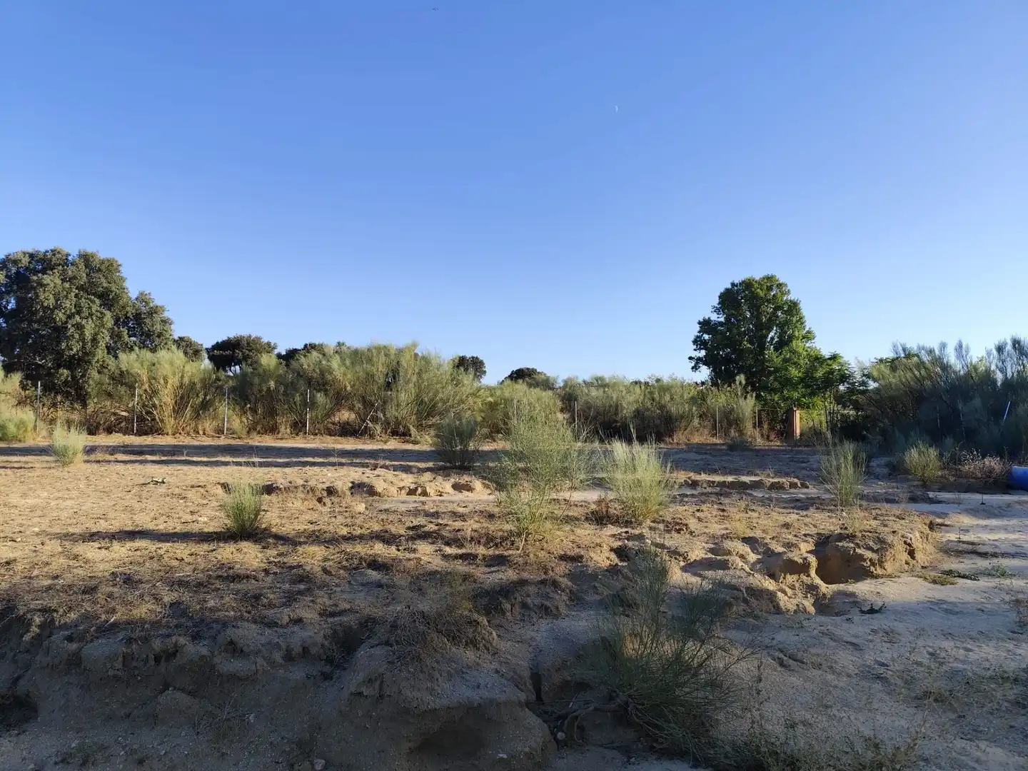 Terreno en venta en Brunete